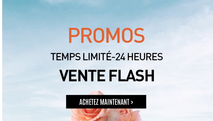 Lot De T-shirts Femme Fruit Of The Loom - Coupe Classique - Sans étiquettes - 13 Couleurs Disponibles - Tailles Du 6 Au 16