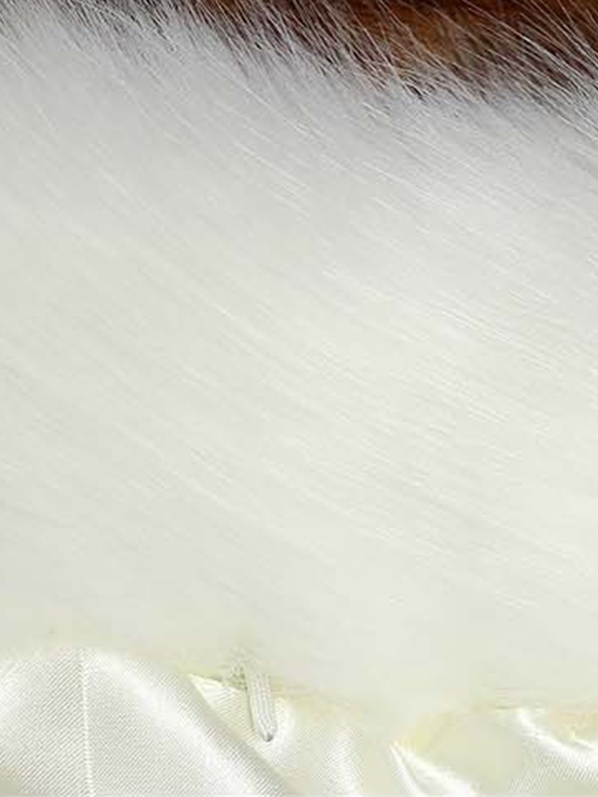 Cuir & Faux Cuir Plain Hiver Élégant Aucune élasticité Quotidien Coupe Régulière Tissu pelucheux/polaire granuleux Régulier Régulier pour Femmes