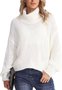 Pulls Femmes Rayé Décontracté Hiver Poids lourd Coupe Régulière Col Roulé Laine/Tricot Droit Élasticité moyenne