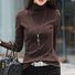 Chemisiers1 Décontracté Plain Printemps / Automne Micro-élasticité Quotidien Ample Jersey Col Roulé Régulier pour Femmes