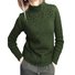Pulls Décontracté Plain Printemps / Automne Tricoté Quotidien Coupe Régulière Régulier Droit Régulier pour Femmes