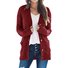 Pulls Décontracté Plain Printemps / Automne Quotidien Manches Longues Col Rond Fil/fil de laine Régulier Régulier pour Femmes