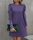 Robes Femmes Décontracté Plain Printemps / Automne Polyester Quotidien Manches Longues Droit Régulier Non