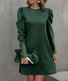 Robes Femmes Décontracté Plain Printemps / Automne Polyester Quotidien Manches Longues Droit Régulier Non