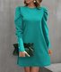 Robes Femmes Décontracté Plain Printemps / Automne Polyester Quotidien Manches Longues Droit Régulier Non