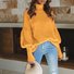 Pulls Décontracté Plain Printemps / Automne Micro-élasticité Quotidien Manches Longues Col Roulé Régulier Droit pour Femmes